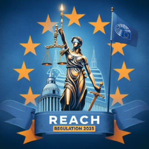 EU-REACH-Verordnung Revision 2025 